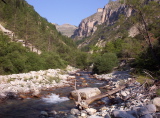 sources du coulomp 8-2004 - 030.jpg