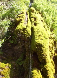 sources du coulomp 8-2004 - 046.jpg