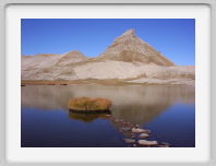 lac de lignin - 069.jpg
