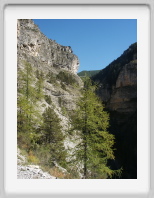 lac de lignin - 004.jpg