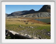 lac de lignin - 088.jpg