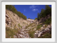 lac de lignin - 137.jpg