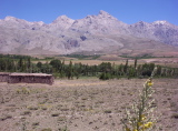 100_2563.jpg