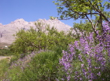 100_2567.jpg