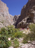 100_2574.jpg
