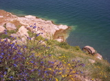 100_2310.jpg