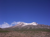 100_2495.jpg