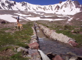 100_2524.jpg