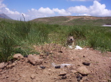 100_2498.jpg