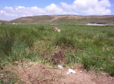 100_2499.jpg