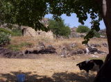 100_2101.jpg