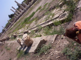 100_2117.jpg