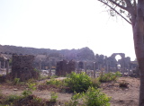 100_2125.jpg