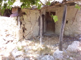 100_2103.jpg