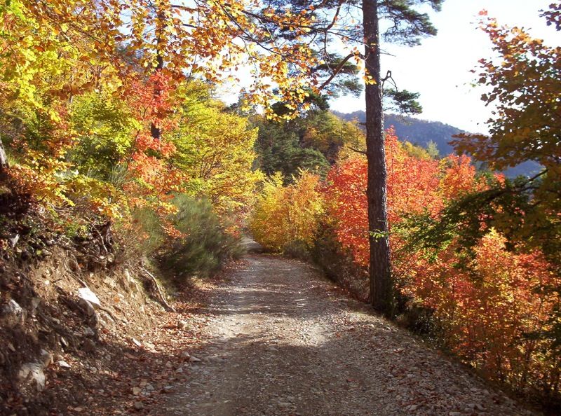 Col du Fa